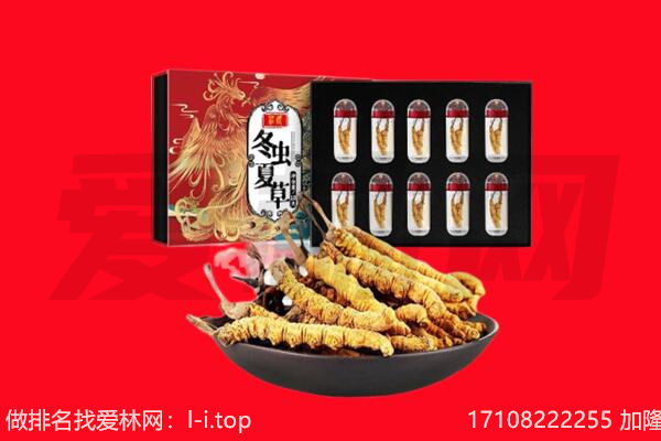 呼玛县回收虫草.jpg
